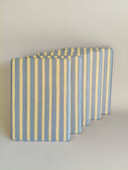 One More Chapter Premium Kindle Case in Rainy Sunday – five dusty blue and cream stripe folios fanned upright, angled front view