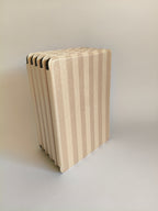 One More Chapter Premium Kindle Case in Barista Blend – warm cream and taupe stripe folio, multiple cases stacked spine-up